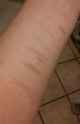 received_335314730166867.jpg