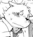 buchi 33.png