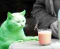 green and orange.png