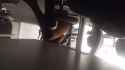 SpyPhoto_20161019_165058163.jpg
