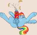 717_923152__solo_explicit_rainbow+dash_nudity_penis_balls_futa_underhoof_dock_wat.png