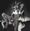 1464015347.accelo_2015-05-21_rekzar_jaroke_web.png