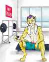 1441301845.dragonmelde_dashsmall.jpg
