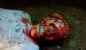 lovelydisgrace.com_eaten-by-dogs-4.jpg