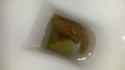 20161020_104314.jpg