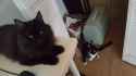 20161017_132717.jpg
