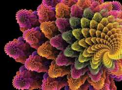 12313603_521688044664074_8622048364411803614_n.jpg