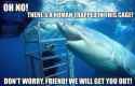 Dont-worry-friend.jpg