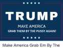 trump-make-america-grab-them-by-the-pussy-again-make-4554462.png