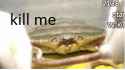 this kills the crab.png