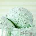 Mint-Chip-Ice-Cream-2.jpg