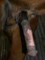 tumblr_o8qex44Tdb1revs3jo1_1280.jpg