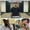 Bow-Wow-Mixed.jpg