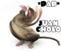 El Ratto 12.jpg