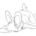 bones.png