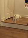 FB_IMG_1475957733569.jpg