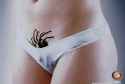 aids-awareness-spider-small-27507.jpg