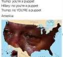 415684.jpg