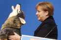 Auch-ein-Herz-fuer-Tiere-Der-Spitzenkandidat-der-Baden-Wuerttembergischen-CDU-Guido-Wolf-ueberreichte-Angela-Merkel-auf-dem-Bundesparteitag-seinen-Namensgeber-in-Pluesch.jpg