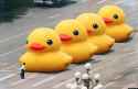 o-RUBBER-DUCK-TIANANMEN-SQUARE-facebook.jpg