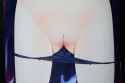 2014032400412357f.jpg