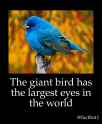 vvvvvvvvvvvvvvvvvvvvvvvvvvvvvvvvvvvvvvvvvvvvvvvvvvvvvvvvvvvvvvvvvvvvvvvvvvvvvvvvvvvvvvvvvvvvvvvvvvv.jpg