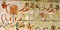 menna_c1_westwall-n_02_an.jpg