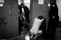 Naked-man-kneeling-with-cops-trying-to-get-him-in-or-out-of-his-cell.jpg