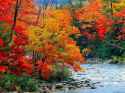 fall_creek.jpg