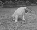 5_3319617029.gif