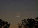 old moon October 24th web.jpg