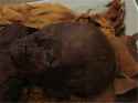 Egyptian mummy British museum.jpg