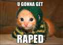 gonna_get_raped_cat.jpg