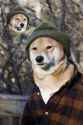 Doggo.jpg