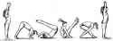 Forward-roll.jpg