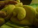 DSC00008.jpg