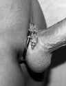 le-cock-ring-v-satyr-penis-ring.jpg