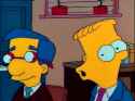 bort shrimpson.png
