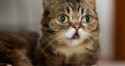C__Data_Users_DefApps_AppData_INTERNETEXPLORER_Temp_Saved Images_imagesE7T4BJMF.jpg