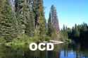 ocd1.jpg