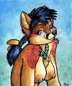 90_1449804857.kalahari_swiftfoxgirl.png