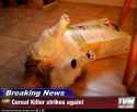 TSwc818.jpg