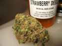 Strawberry Diesel bud close up next to prescription bottle.jpg