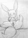 Eevee45.jpg