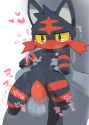 litten2.png
