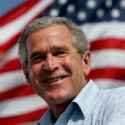 bush16.png