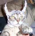 FECAWZ2PNNCAVGE8I4CA2G0SB1CAM42W94CAZYS2DCCAO6N6ECCAODZ3O7CAQ8MMM0CA2NXE6WCAVNAGDVCA3S2N1DCAYOVPRXCA3PFLIACAFGLA2FCAO7TTOTCAKZQKYJCAV0K96UCABSGRD9CAF30P0HCATY03LG.jpg