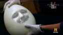 egg.png