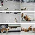 compadres.jpg