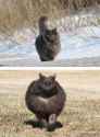 tumblr_nz5kqlDltS1qa53wno10_540.jpg
